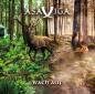 Preview: Asaviga - WACH AUF (CD)